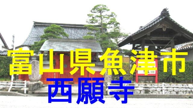 西願寺のアイキャッチ画像です